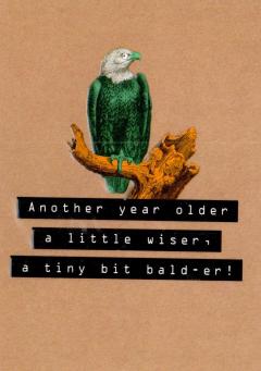 Felicitare - Wiser & Bald-er The Art File