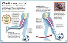 My Amazing Body Machine