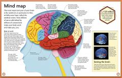 My Amazing Body Machine