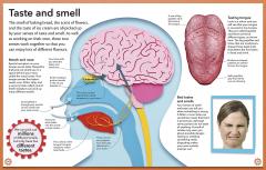 My Amazing Body Machine