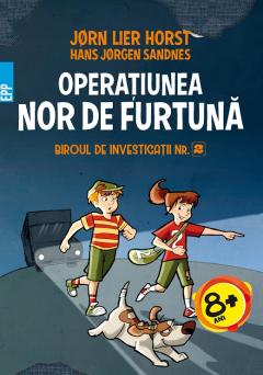 Operatiunea Nor de furtuna