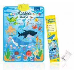 Poster vorbitor in limba engleza - Animale Marine