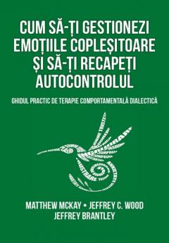 Cum sa-ti gestionezi emotiile coplesitoare si sa-ti recapeti autocontrolul