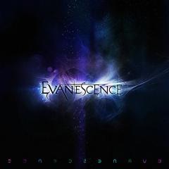 Evanescence - Vinyl