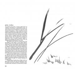 Art and Technique of Sumi-e Japanese Ink Painting