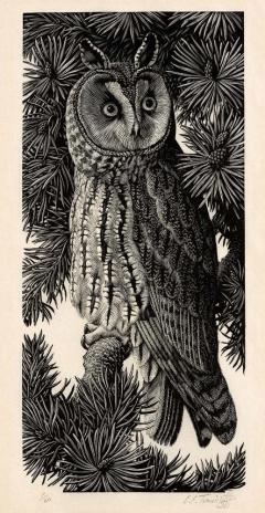 C F Tunnicliffe Prints - A Catalogue Raisonne