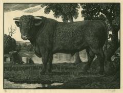 C F Tunnicliffe Prints - A Catalogue Raisonne