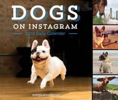Calendar de birou pe zile - 2018 - Dogs on Instagram 
