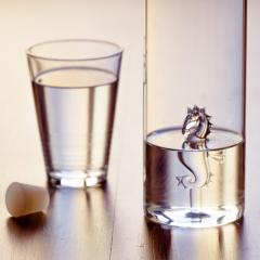 Sticla pentru apa - Sea Horse | Balvi
