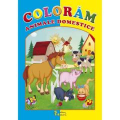 Coloram Animale Domestice 