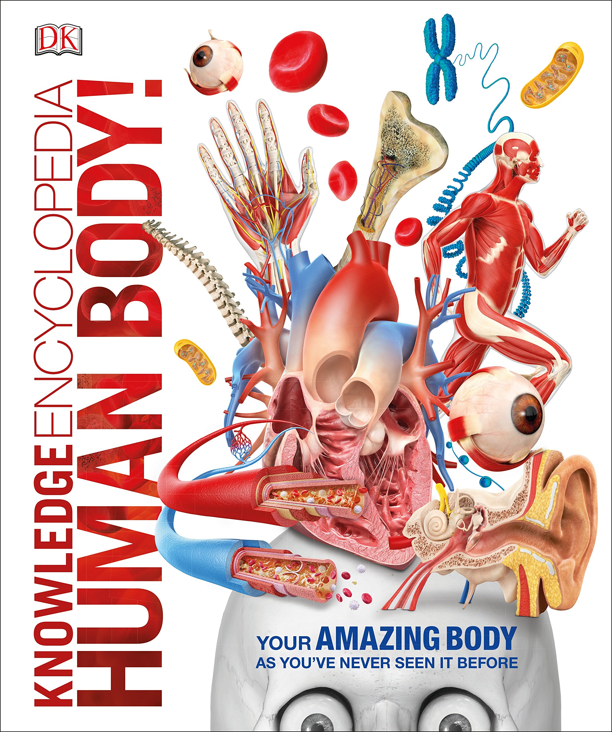 Knowledge Encyclopedia Human Body