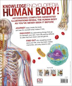 Knowledge Encyclopedia Human Body