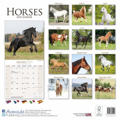 Calendar de perete 2018 - 16 luni - Horses Avonside