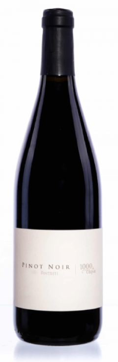 Vin rosu - Fintesti - Pinot Noir, sec, 2021