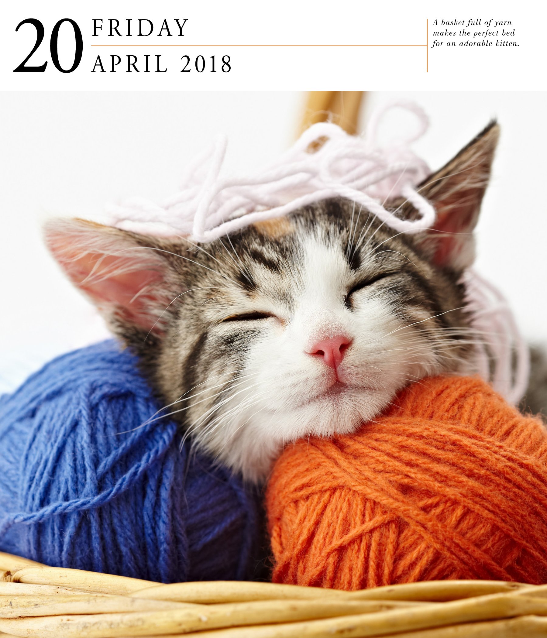 Calendar de birou 2018 Cat Gallery Workman Publishing