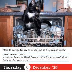 Calendar de birou 2018 - Bad Cat