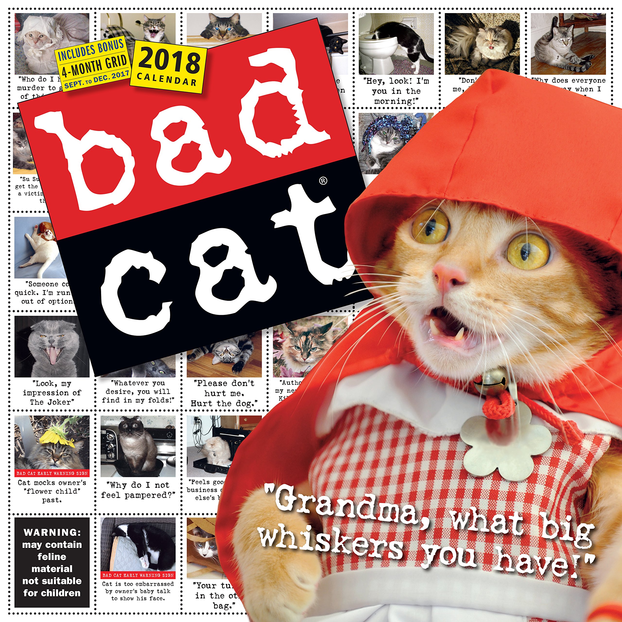 Calendar de perete 2018 Bad Cat Workman Publishing
