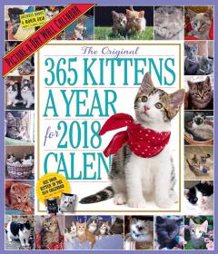Calendar de perete 2018 - 365 Kittens
