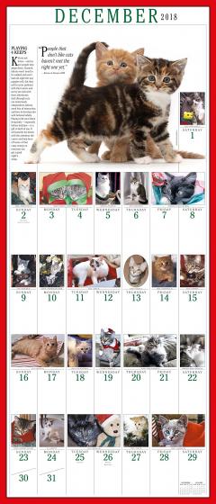 Calendar de perete 2018 - 365 Kittens