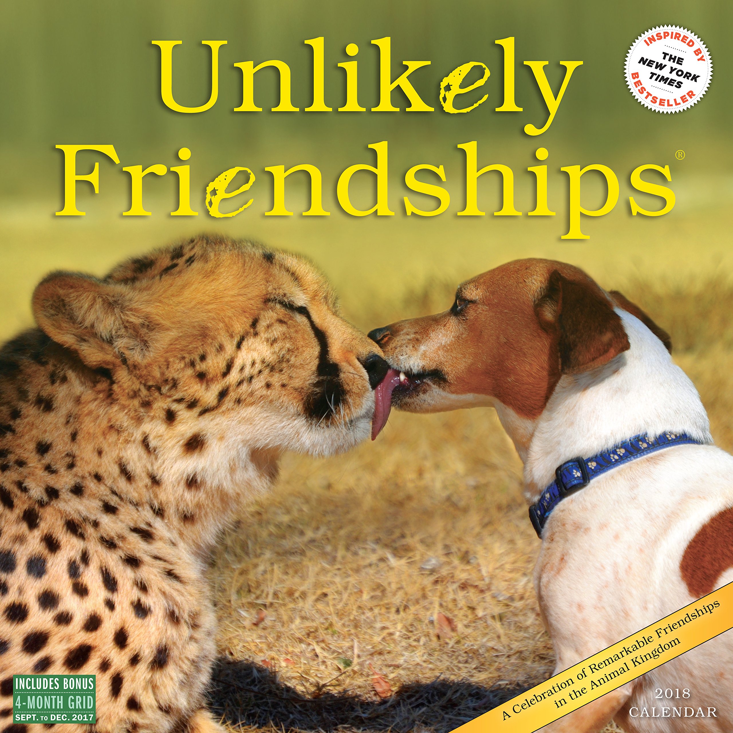 Calendar de perete 2018 Unlikely Friendships Workman Publishing