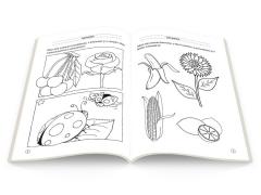 Culori, forme si marimi