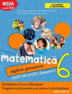Matematica. Algebra, geometrie - Caiet de lucru. Clasa a VI-a, Semestrul I