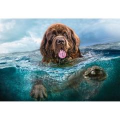 Puzzle Castorland Big Brown, 1000 piese Castorland