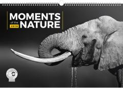 Calendar 2018 - Moments of the Nature
