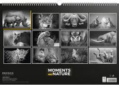 Calendar 2018 - Moments of the Nature