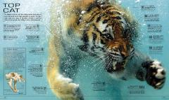 13½ Incredible Things You Need to Know About Everything