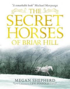 Coperta cărții The Secret Horses of Briar Hill