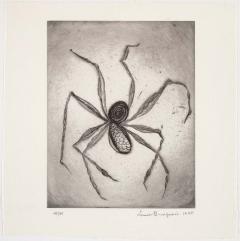 Louise Bourgeois - An Unfolding Portrait