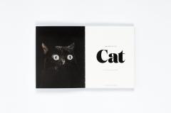 The Book of the Cat - Cats in Art