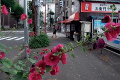 Daido Moriyama: Record