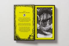 The Hollow Woods - Storytelling Card Game 