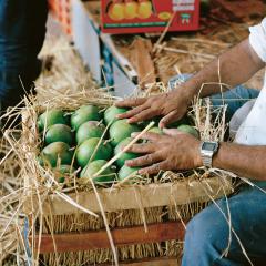 Parsi. From Persia to Bombay