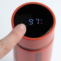 Termos cu termometru digital - Minecraft TNT