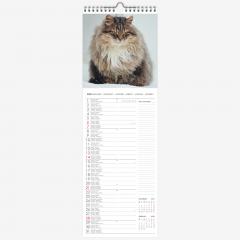 Calendar de perete 2018 - Cats