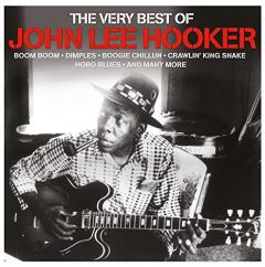 The Very Best Of John Lee Hooker - Vinyl