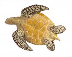 Figurina - Sea Turtle