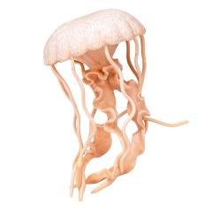 Figurina - Pink Jellyfish