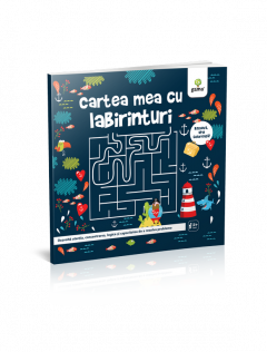Cartea mea cu labirinturi 