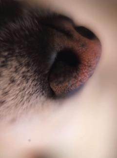 The ABCs of Parenthood