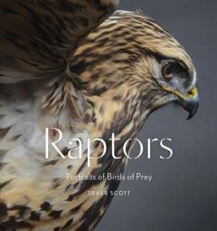 Raptors - Portraits of Birds of Prey