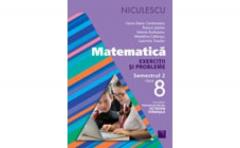 Matematica. Exercitii si probleme pentru clasa a VIII-a, semestrul II