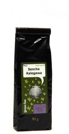 M13 Sencha Kalegawa