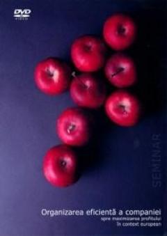 Organizarea eficienta a companiei - Spre maximizarea profitului in contextul European