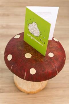 Zamburi Ciupercolatorul