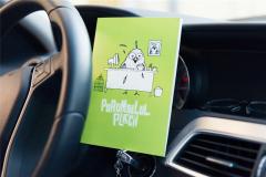 Zamburi Porumbelul placii