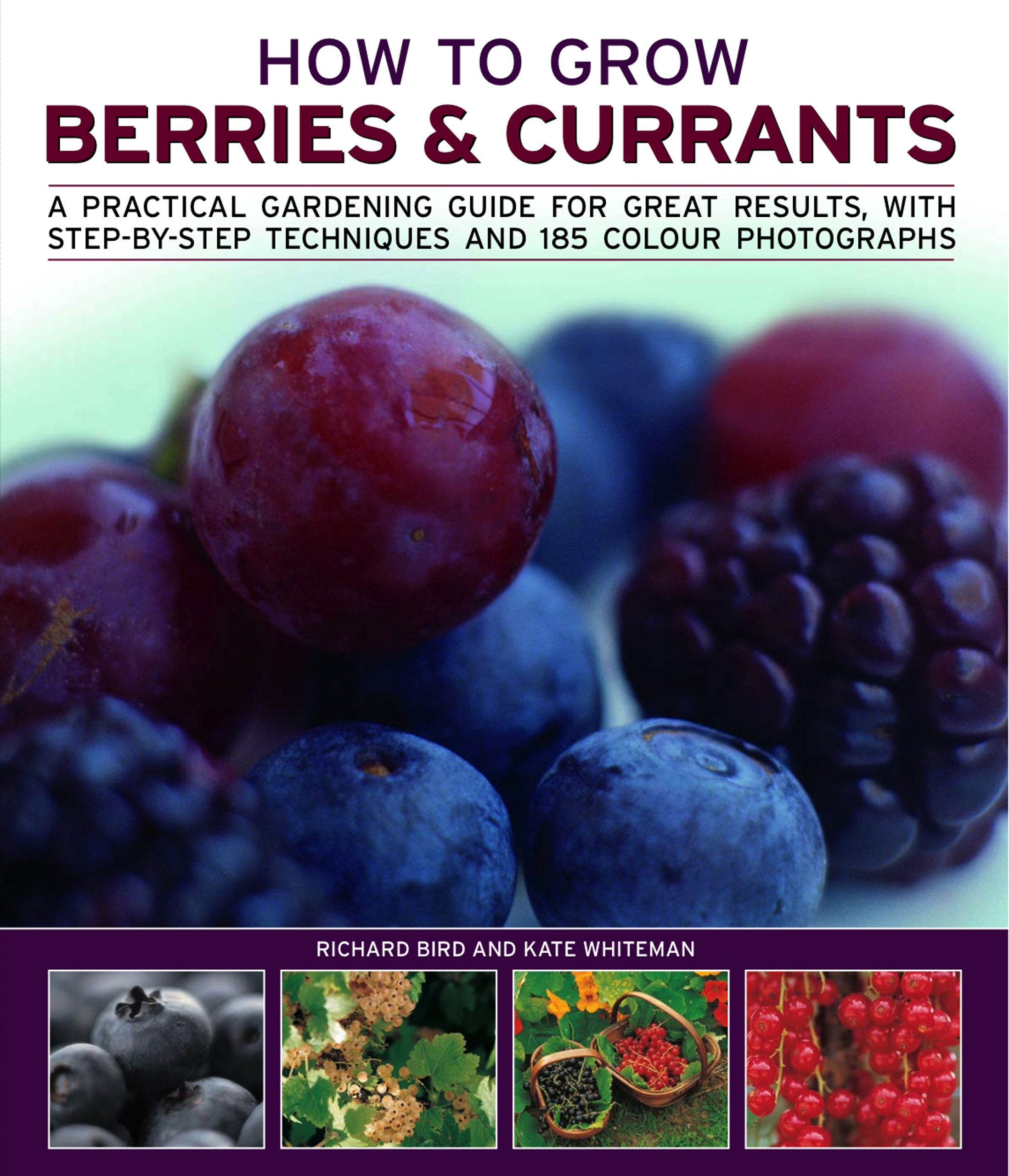 How To Grow Berries &amp; Currants